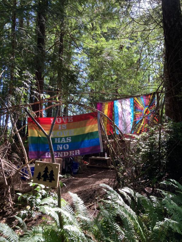 camp7.jpg