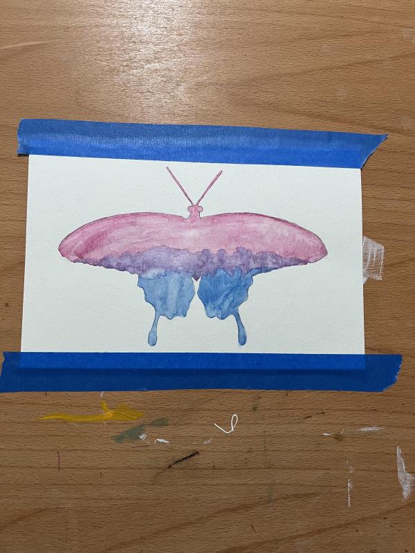 bisexual_moth.jpg