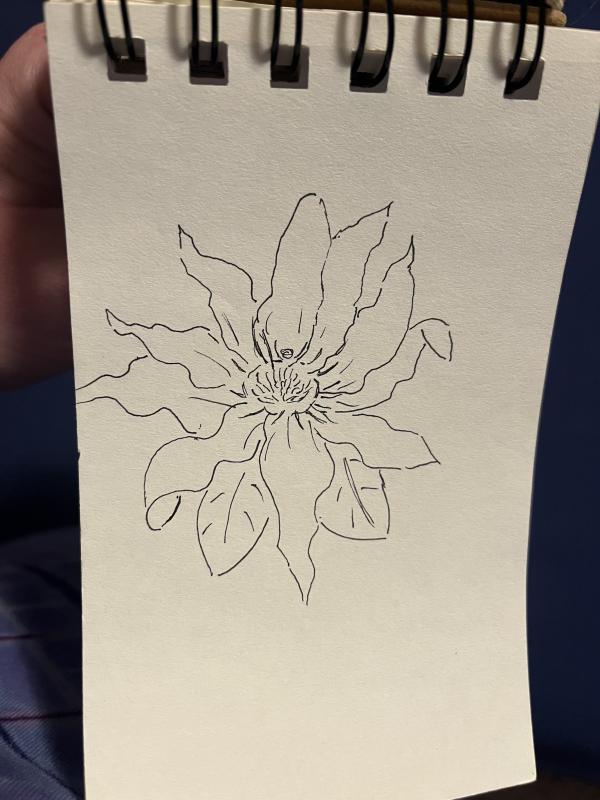clematis.jpg