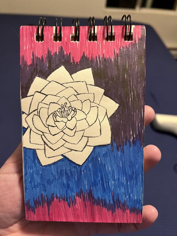 color_pop.jpg