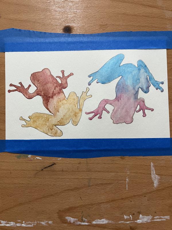 gummy_frog.jpg