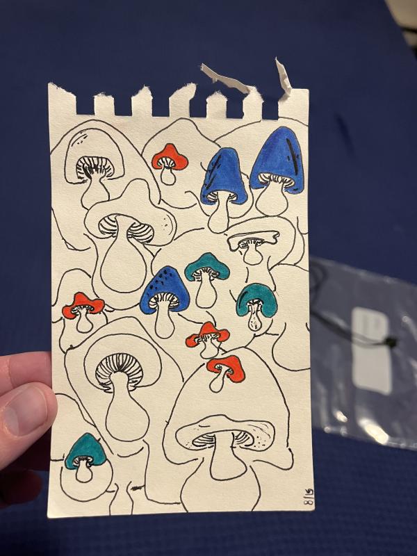 mushroom_outlines.jpg