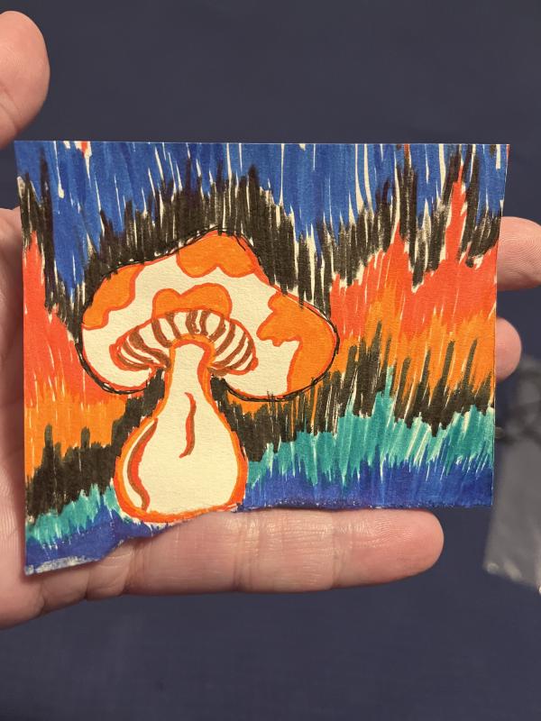 mushroom_sketch.jpg