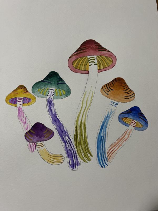 mushrooms.jpg