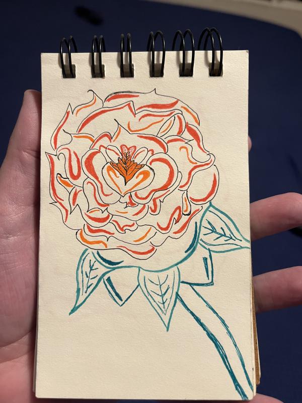 orange_rose.jpg