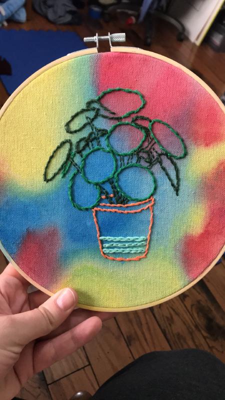 pilea.jpg