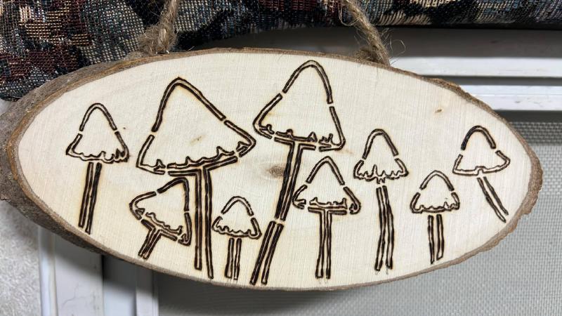 r_mushrooms.jpeg