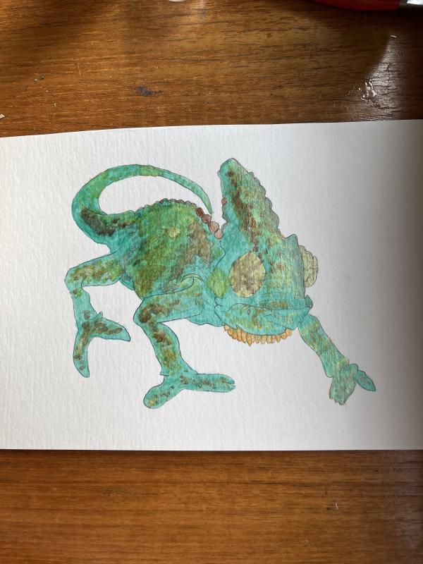 veiled_gecko.jpg