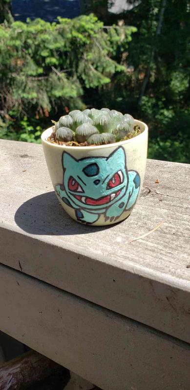bulbasaur_pot.jpg